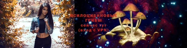 ПСИЛОЦИБИНОВЫЕ ГРИБЫ Балахна