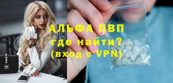 индика Баксан