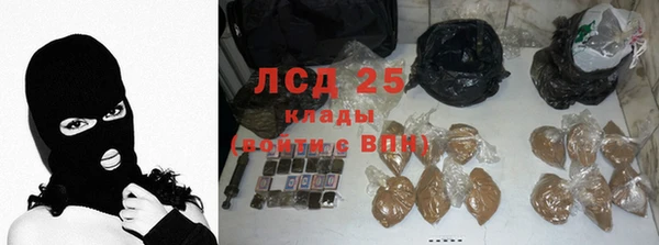 ПСИЛОЦИБИНОВЫЕ ГРИБЫ Балахна