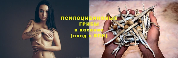 индика Баксан