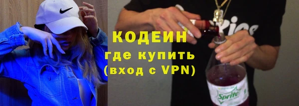 индика Баксан