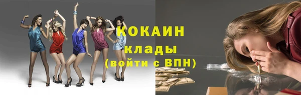 индика Баксан