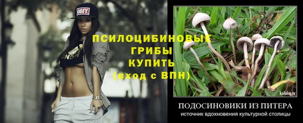 индика Баксан