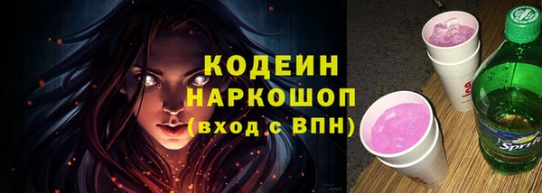 индика Баксан