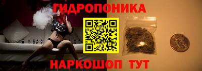 мдпв Можга