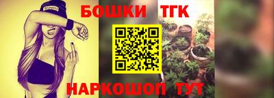мдпв Можга